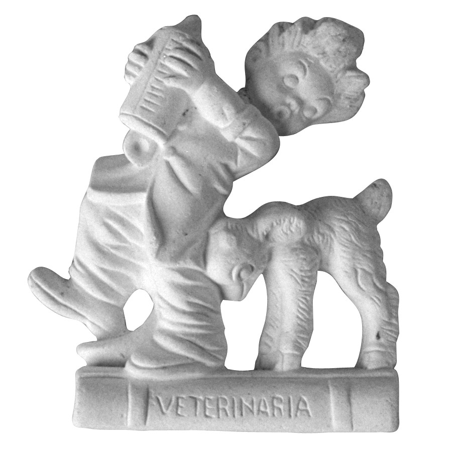 Stampo in gomma veterinario Pr 94 cm.10