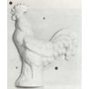 Stampo in plastica Gallo nﾰ6