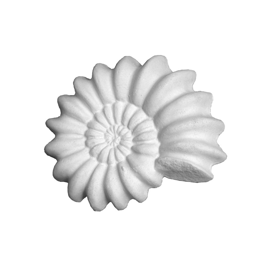 Stampo in gomma conchiglia marina Pr 192 cm.8*10