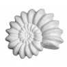 Stampo in gomma conchiglia marina Pr 192 cm.8*10
